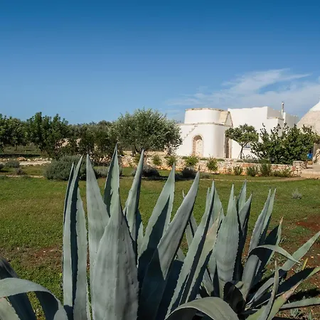 Trullolive By Trullicervarolo Tatil Evi Ostuni