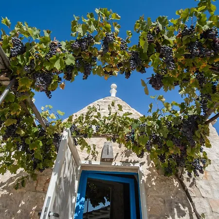 Trullolive By Trullicervarolo Ostuni